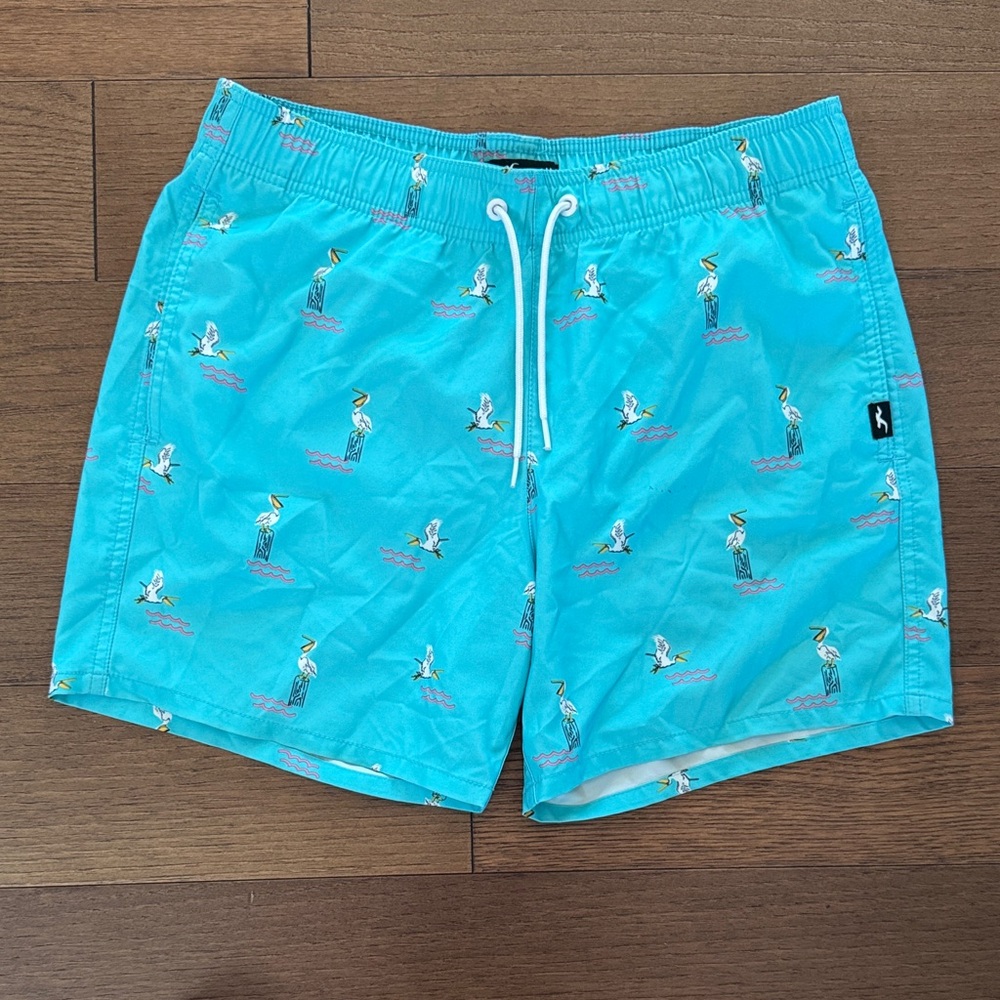 Hollister Turquoise Pelican Print Swim Trunks